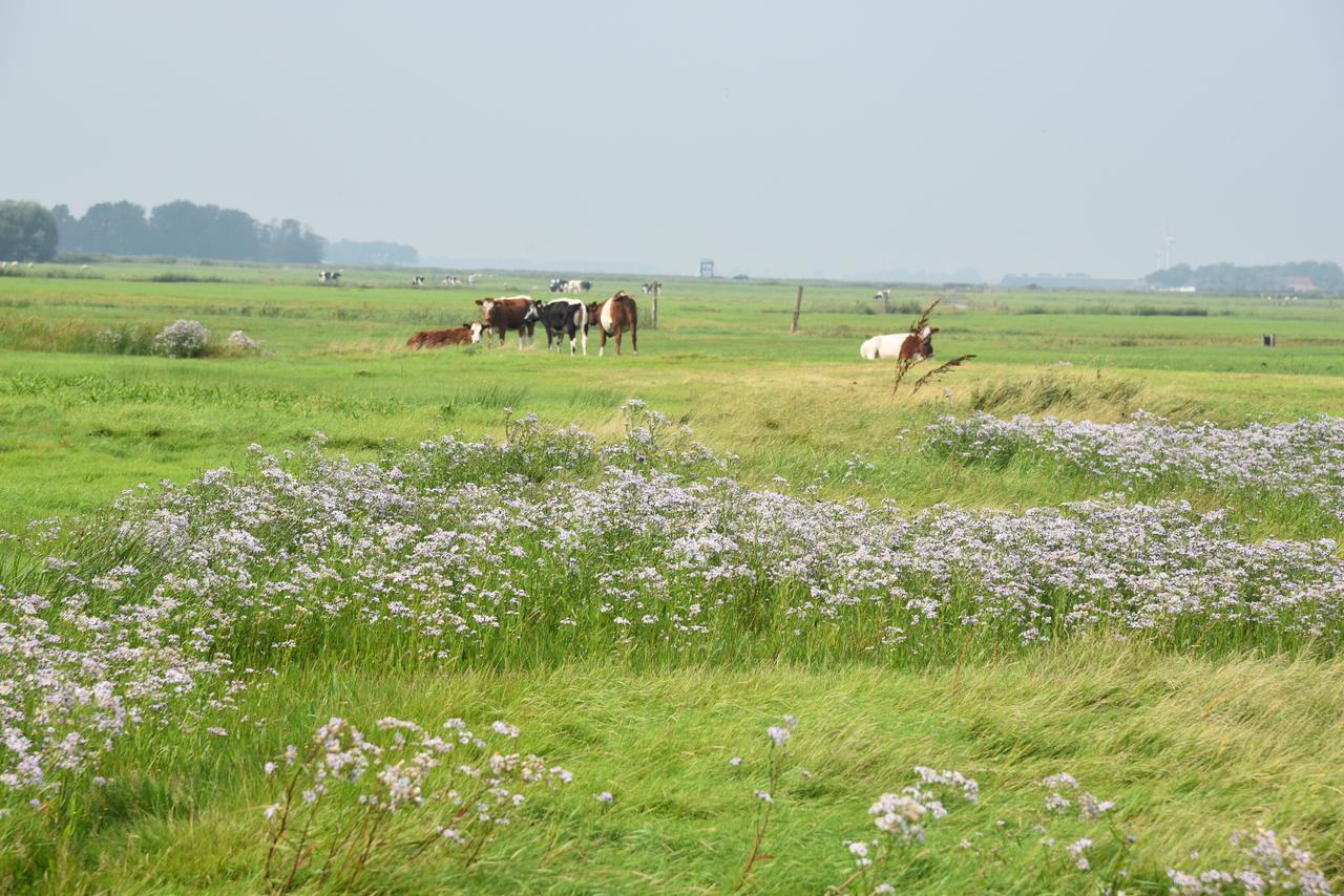 Countryside Eco Natuurhuisjes Ee Bagian luar foto