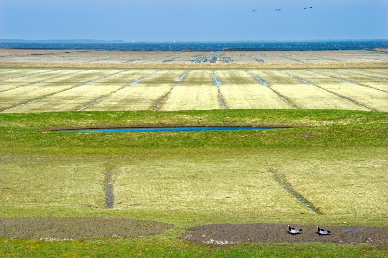 Countryside Eco Natuurhuisjes Ee Bagian luar foto