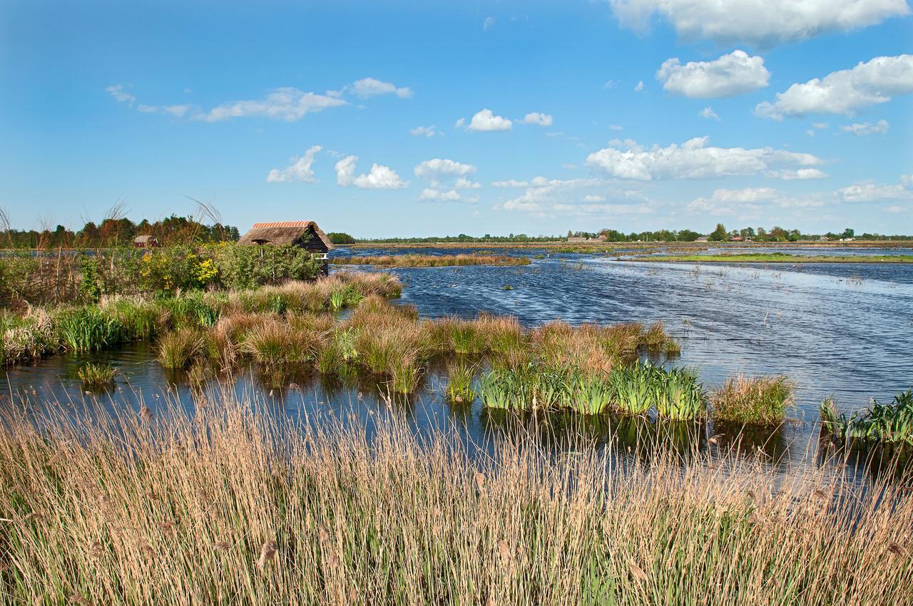 Countryside Eco Natuurhuisjes Ee Bagian luar foto