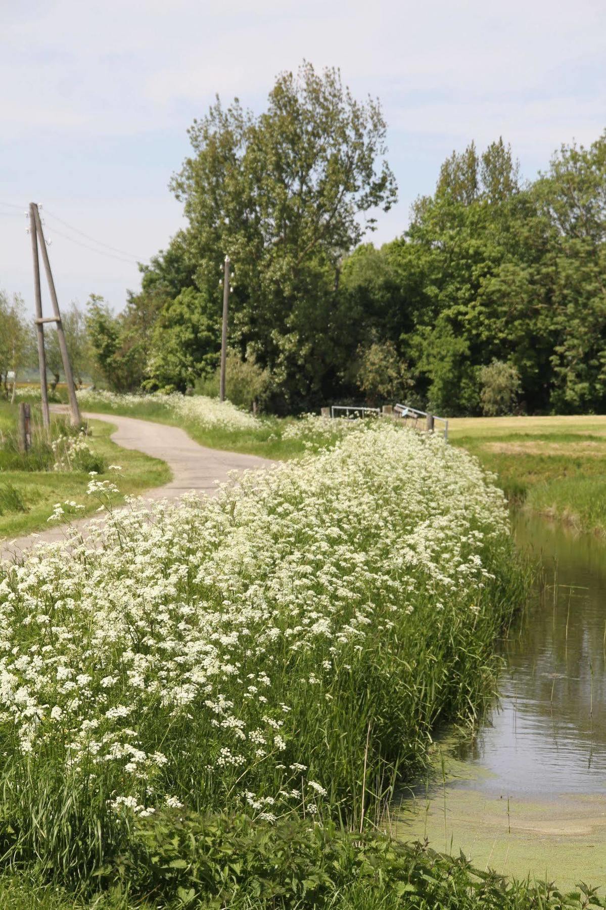 Countryside Eco Natuurhuisjes Ee Bagian luar foto